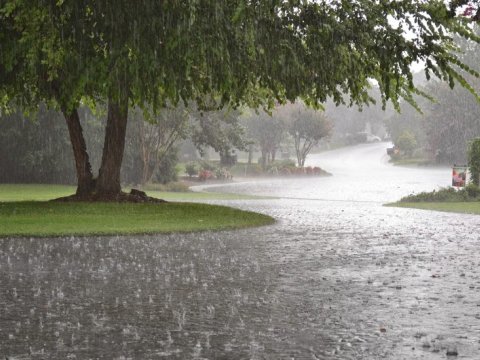 Temperatur 36 dərəcəyə enəcək - Yağış yağacaq