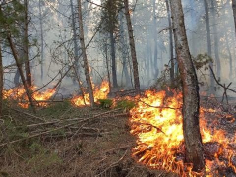 Ağsuda dağlıq ərazi yanır
