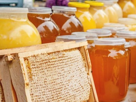 Bakıda bal yarmarkası keçiriləcək - Ünvan