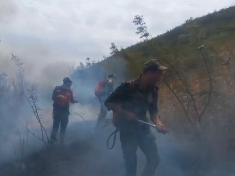 Şamaxıda yanğın - VİDEO