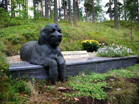 Qəribə məzarlıq: Burada heyvanlar dəfn olunur - FOTOLAR