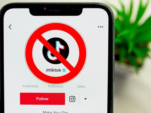 Qırğızıstanda TikTok-a qadağa qoyulur
