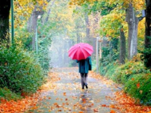 Sentyabr ayınının hava PROQNOZU