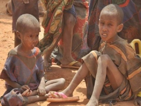 Niger humanitar fəlakət qarşısında