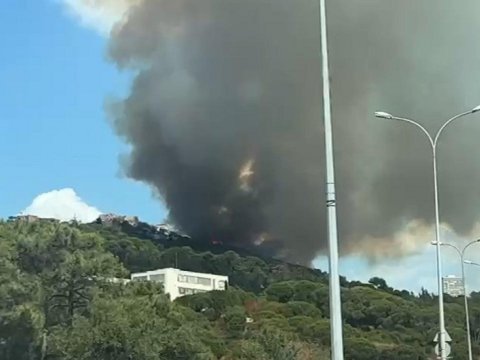 İstanbulda meşəlik ərazi YANIR