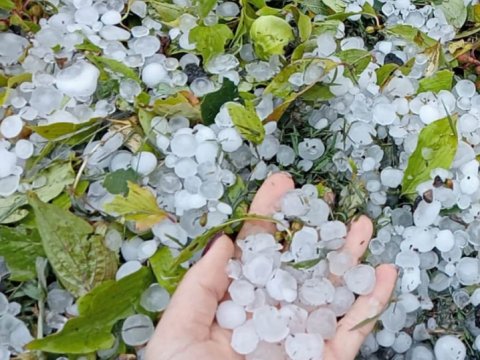 Zaqatalada leysan və dolu fəsadlar törətdi - FOTO