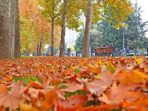 Azərbaycana payız gəlir