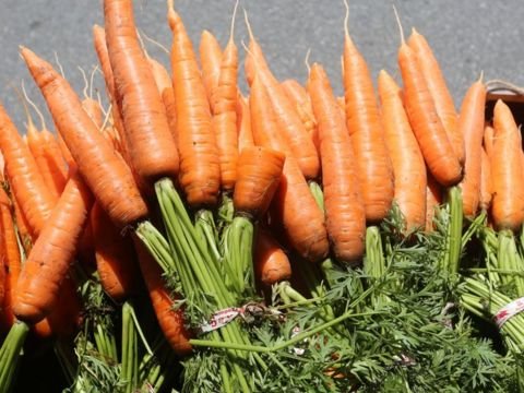 Rusiya Ermənistandan toxum idxalını YASAQLADI