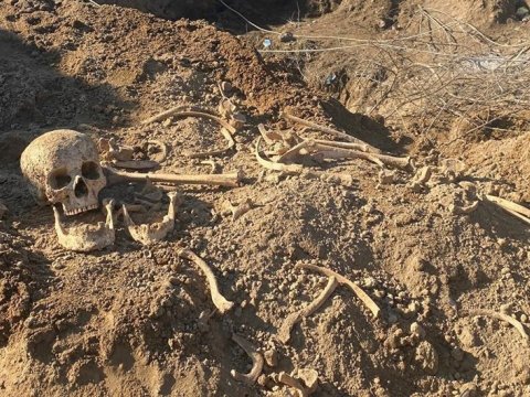 Vejnəlidəki insan sümüklərinin qalıqları ekshumasiya edildi - RƏSMİ
