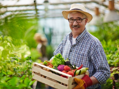 Onlar hansı hallarda bazarda hökmran mövqe tutmuş hesab olunacaq?