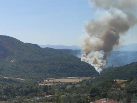 Manisada meşə yanğını - Əraziyə 8 təyyarə, 8 helikopter cəlb olunub