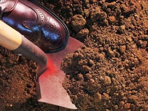 Oğuz sakini həmkəndlisini öldürüb meşədə BASDIRDI