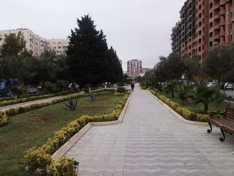 Bakıda parkdan meyit tapıldı