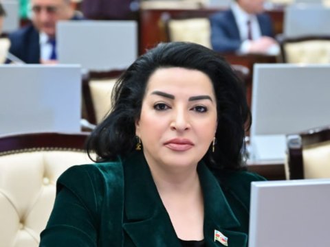 Bu, sülh və sabitliyin təmin edilməsi üçün vacib addımdır