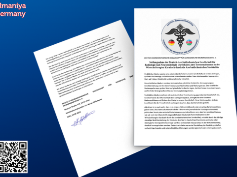 Diaspor fəalları Avropa ictimaiyyətini məlumatlandırdı