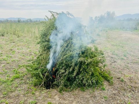 Keçmiş məhkum narkotik satarkən tutuldu - FOTO