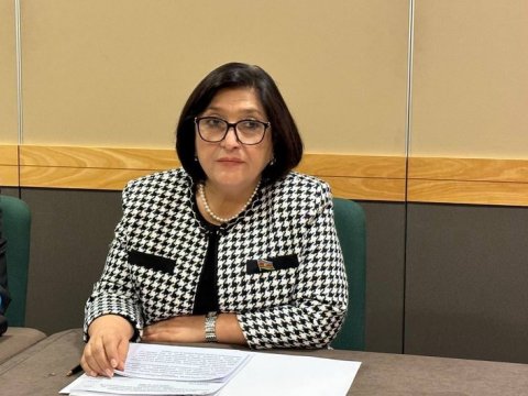 Heç kim erməniləri Qarabağdan getməyə məcbur etmir - Sahibə Qafarova