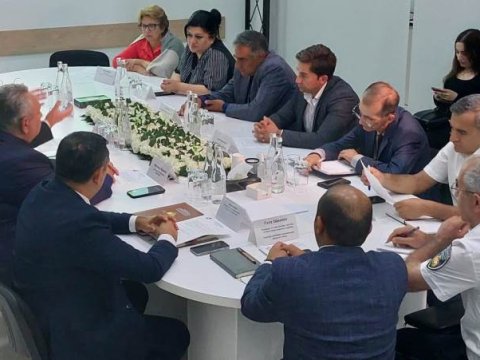 Bakıda 200-dən artıq qurumuş ağac çıxarılacaq - Müzakirə