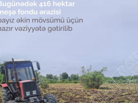 416 hektar meşədə ağac əkiləcək