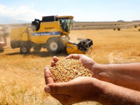 Azərbaycanın nə qədər taxıl ehtiyatı var?