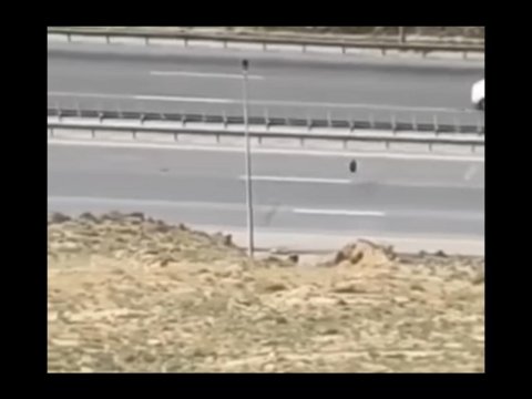 Bakıda təkərlə “ölüm oyunu” oynayanlar saxlanıldı - FOTOLAR