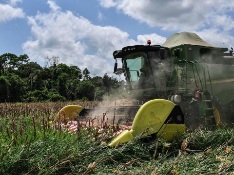 Kənd təsərrüfatı ilə bağlı mühüm qərar - Yeni komitə YARADILDI