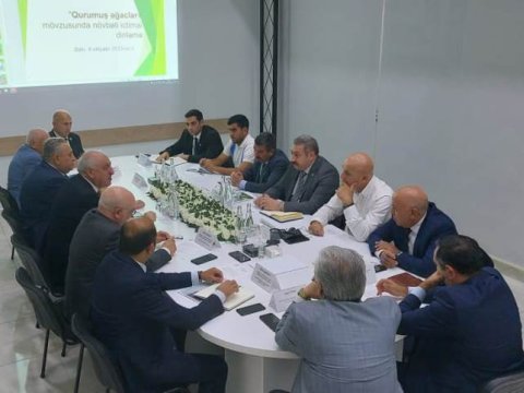 Bakıdakı məhəllələrdə ərazinin 25 faizini yaşıllıq təşkil etməlidir - Müzakirə