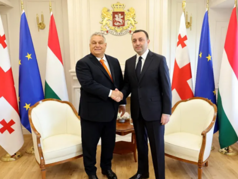 Qaribaşvili və Orban sualtı elektrik kabeli layihəsini müzakirə etdilər
