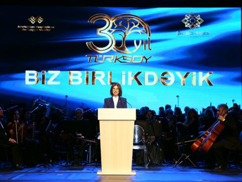“Biz birlikdəyik” adlı qala konsert - FOTO