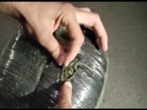 Tovuzda narkokuryerlik edən şəxslər tutuldu