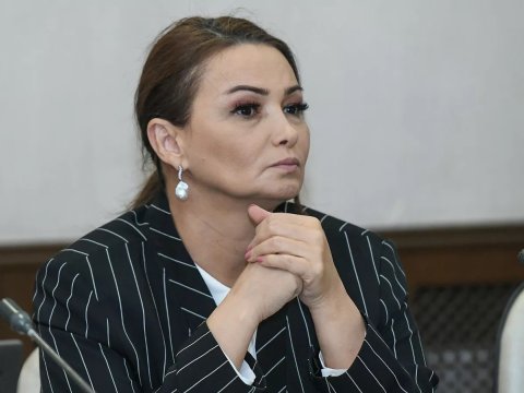 Milli Məclisdə Qənirə Paşayevanı kim əvəz edəcək…
