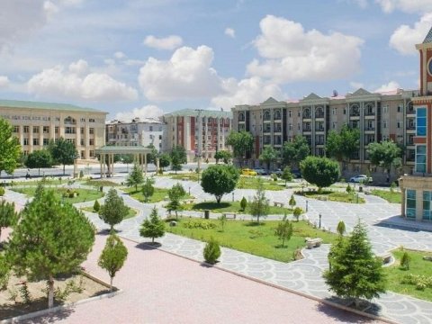 Naxçıvanda yeni dövlət şirkəti qeydiyyatdan keçdi