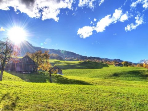 Sabahdan temperatur yüksələcək - 24 dərəcə isti olacaq