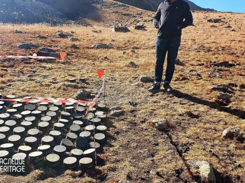 Mina partlayışı nəticəsində ölən ayı balası - FOTO