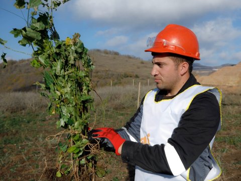 “Çovdar” qızıl mədənində ekoloji layihə icra edilib - FOTO