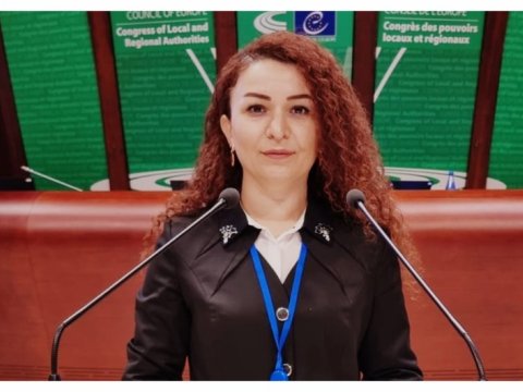 Azərbaycanlı deputat Avropa Şurasının komitəsində 1-ci vitse-prezident seçildi