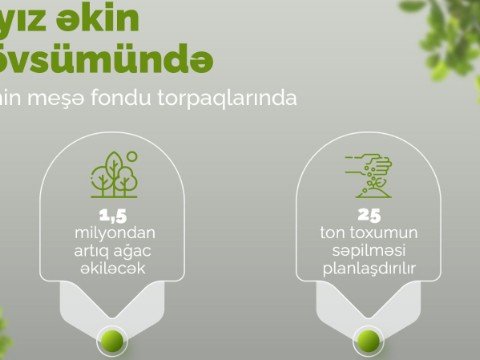 Payızda 1,5 milyondan artıq ağac əkiləcək