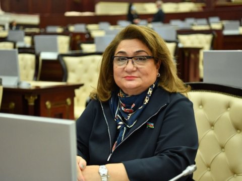 Qadın və uşaqlar daha çox ailə üzvləri tərəfindən zorakılığa məruz qalır - Komitə sədri