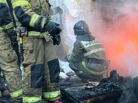Zooparkda güclü yanğın - Heyvanlar tələf oldu