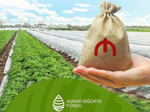 Aqrar Sığorta Fondu zərər ödənişlərinə başladı