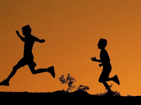 Qadın və uşaqlarla bağlı ayrıca dövlət proqramı qəbul edilsin - Deputat