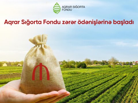 Fermerlərin nəzərinə: Aqrar Sığorta Fondu zərər ödənişlərinə başladı  