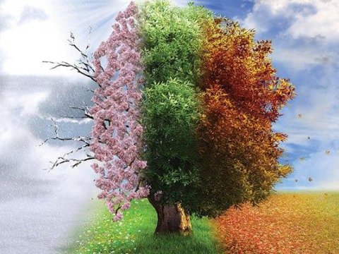 Fəsillərin Azərbaycana daxilolma vaxtları AÇIQLANDI