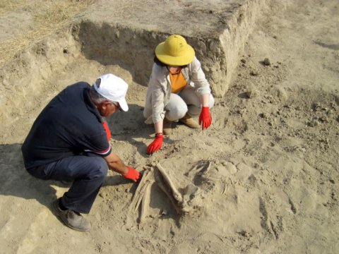 Arxeoloji ekspedisiyaların fəaliyyət müddəti artırıldı