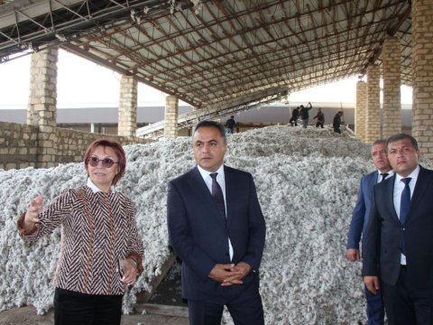 Goranboyda pambıq istehsalında uğurlu nəticə gözlənilir