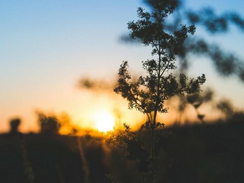 Bu gün 26 dərəcə isti olacaq