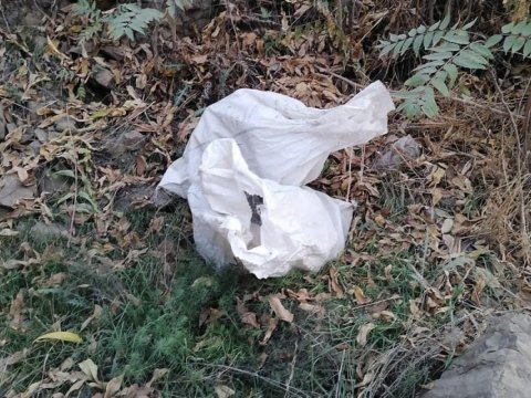 Xudafərin kəndi yaxınlığında narkotik aşkarlandı - FOTO