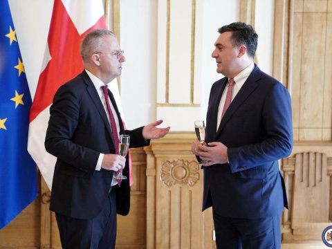 Darçiaşvili Aİ rəsmilərini qəbul etdi - FOTOLAR