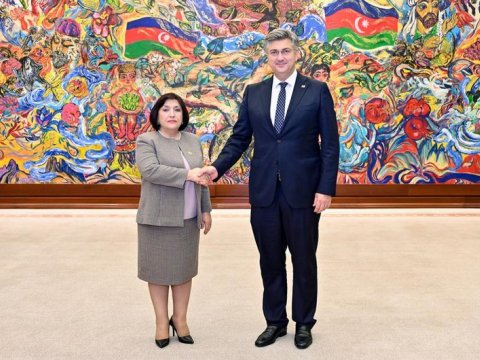 Sahibə Qafarova Baş nazirlə regionu müzakirə etdi