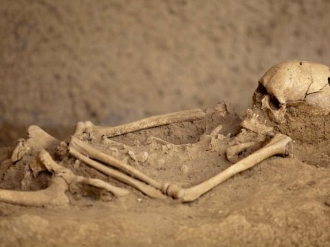 Ağdamda insana məxsus kəllə sümüyü aşkarlandı